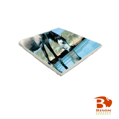 Ceramic Tile - 4x4 Spacerless - Gloss - Bison