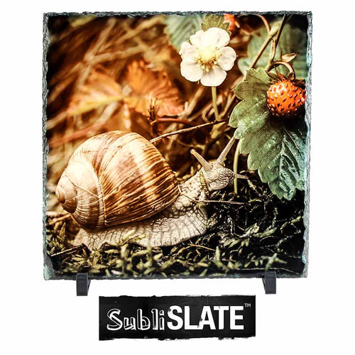 Sublimation Slate Plaque - 11.8
