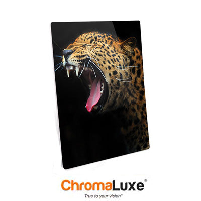 ChromaLuxe Sublimation Blank Aluminum Photo Panel - 11