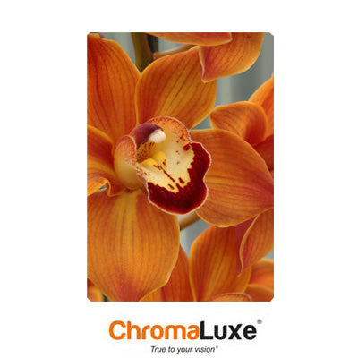 ChromaLuxe Sublimation Blank Aluminum Photo Panel - 11