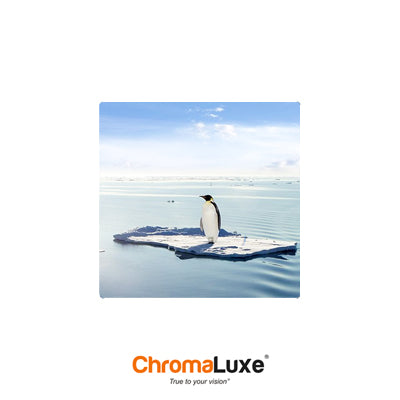 ChromaLuxe Sublimation Blank Aluminum Photo Panel - 10