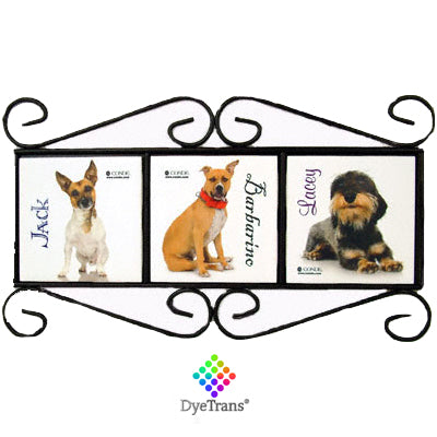 DyeTrans Wrought Iron Frame for Select 4