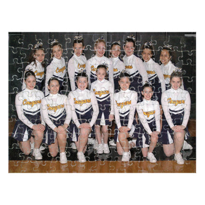 DyeTrans Sublimation Blank Felt Puzzle - 10.5