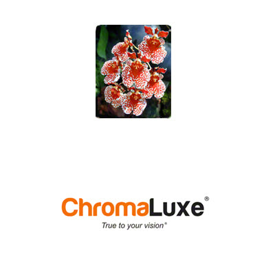 ChromaLuxe Sublimation Blank Aluminum Photo Panel - 4