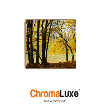 ChromaLuxe Sublimation Blank Natural Wood Photo Panel - 8