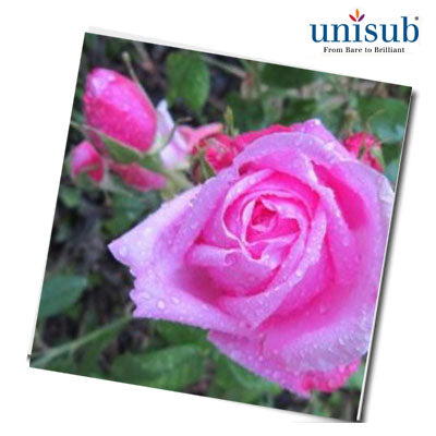 Unisub Sublimation Blank Hardboard Tile - 8